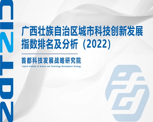 黄片试看【成果发布】广西壮族自治区城市科技创新发展指数排名及分析（2022）